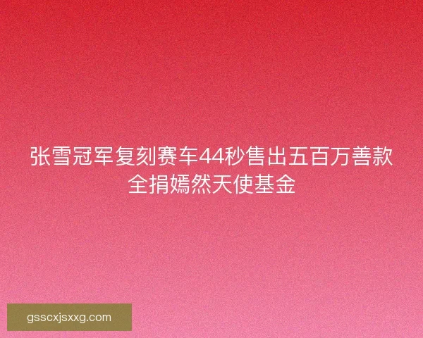 张雪冠军复刻赛车44秒售出五百万善款全捐嫣然天使基金